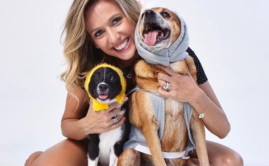 publico-desiste-de-adotar-pets-em-feira-promovida-por-luisa-mell