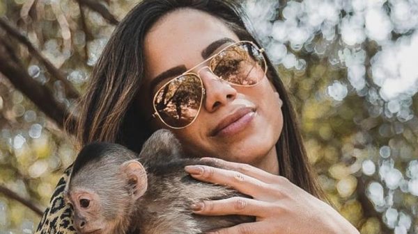 anitta-suAnitta surpreende seguidores e aparece abraçada com cobra gigante em cliquerpreende-seguidores-e-aparece-abracada-com-cobra-gigante-em-clique