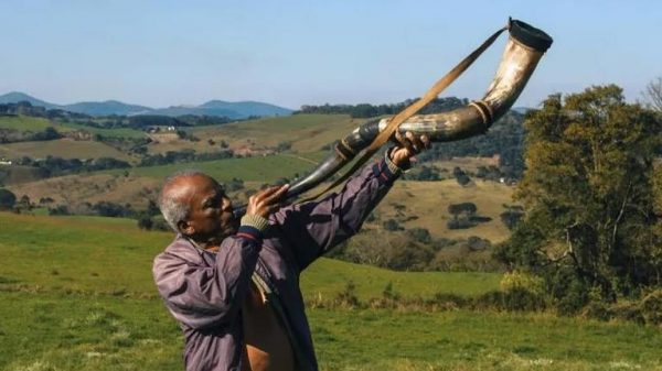 lista-oficial-do-festival-de-cannes-tem-filme-brasileiro-sobre-racismo