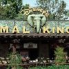 destino-de-ferias:-animal-kingdom!