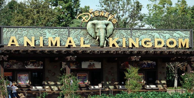 destino-de-ferias:-animal-kingdom!