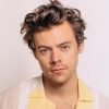 Harry Styles confirma terceiro show em São Paulo após ingressos "voarem" nas vendas (Divulgação)