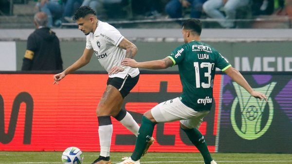 Botafogo x Palmeiras esquenta rodada do Brasileirão