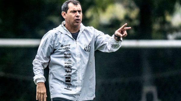 Santos quer Carille para comandar o time