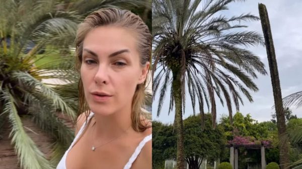 Ana Hickmann relatou o susto que levou