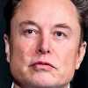 Elon Musk se desculpa após o X voltar a funcionar para alguns usuários brasileiros